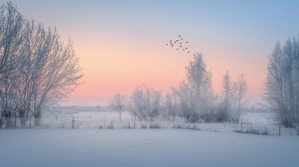 Фотография автора Игорь Васильев