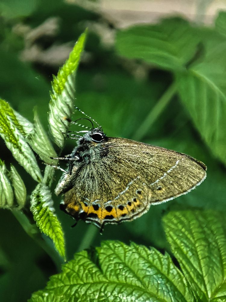Фотография автора Нина Зинченко