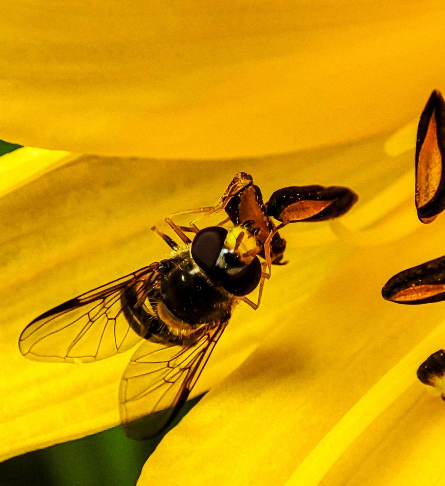 Фотография автора Нина Зинченко