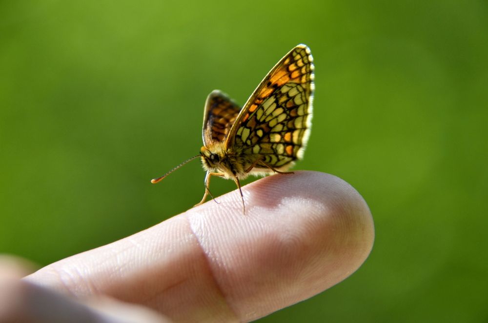 Photograph by Николай Соколовский