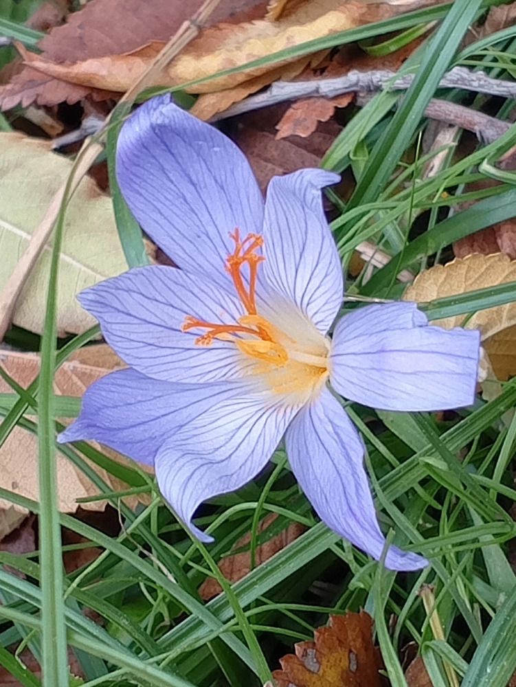 Photograph by Юлея Букреева