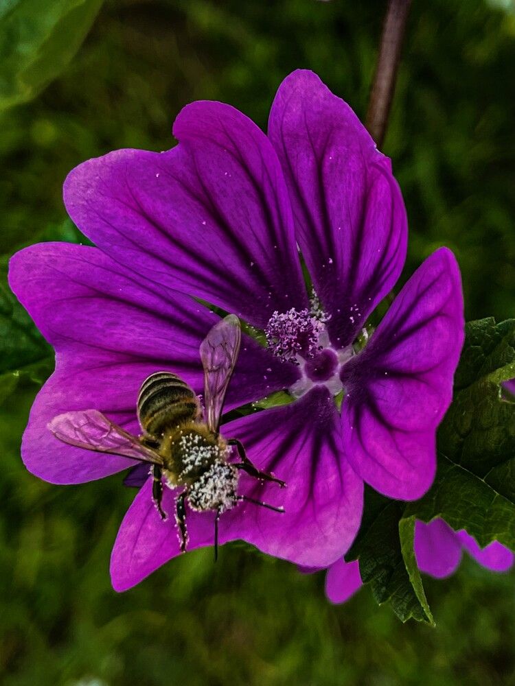 Photograph by Марина Булатова