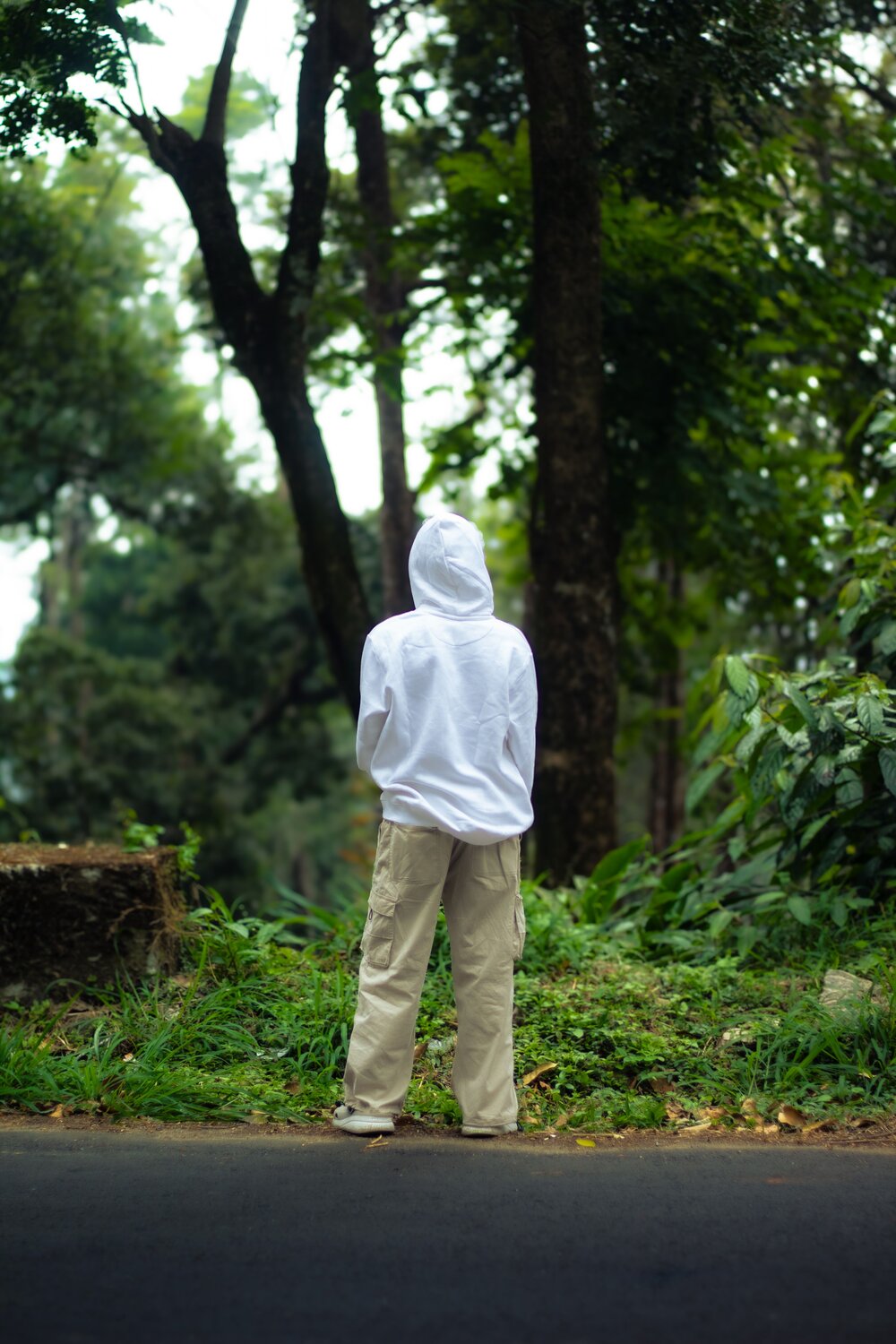Photo #12072397