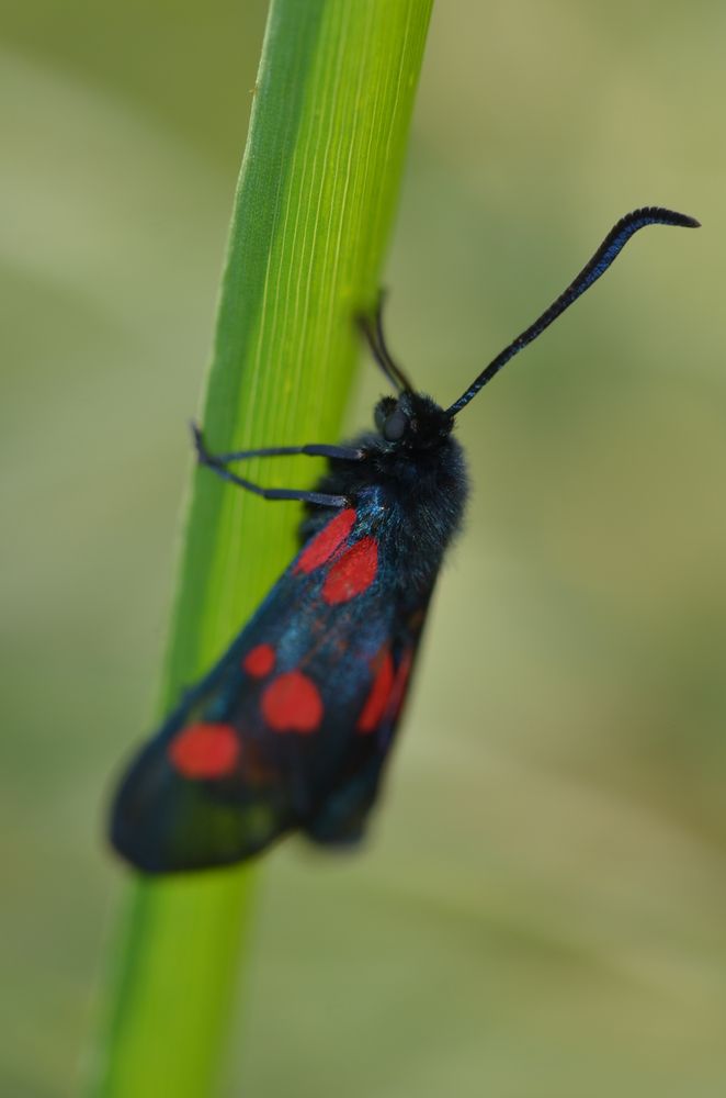 Photograph by Людмила Воропаева