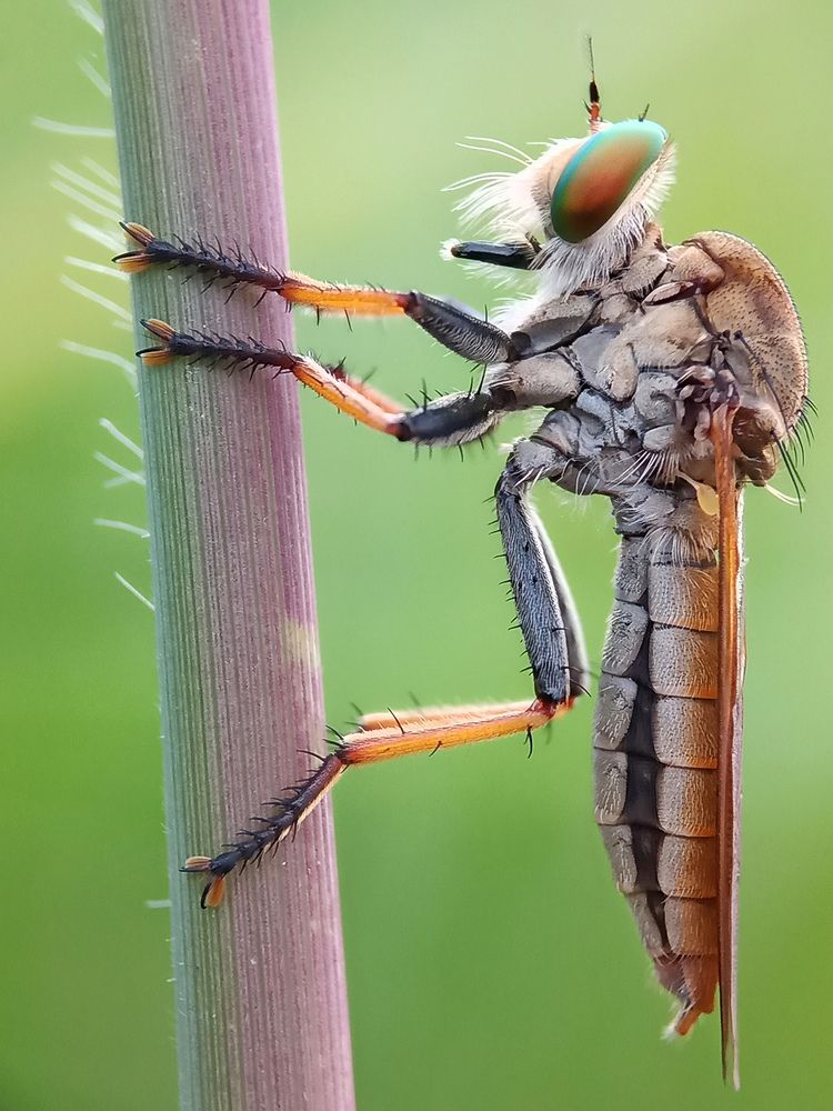 Photograph by Zaki Purnomo