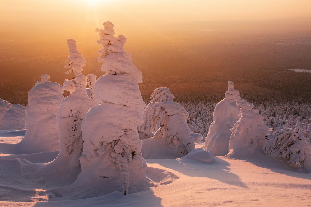 Photograph by Соколова Елена