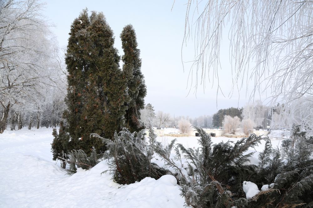 Photograph by Алексей Фролов