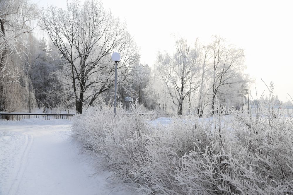 Photograph by Алексей Фролов