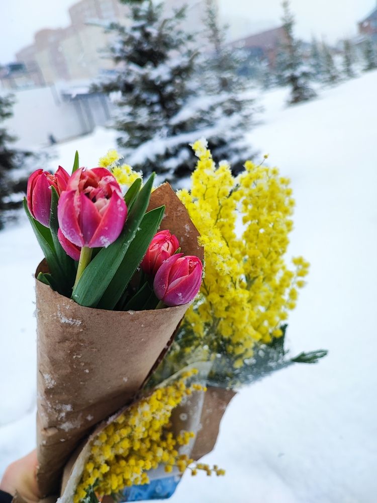 Photograph by Елена Новикова