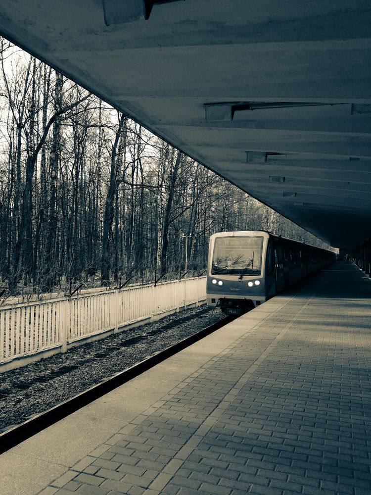 Photograph by Римма Бобрякова