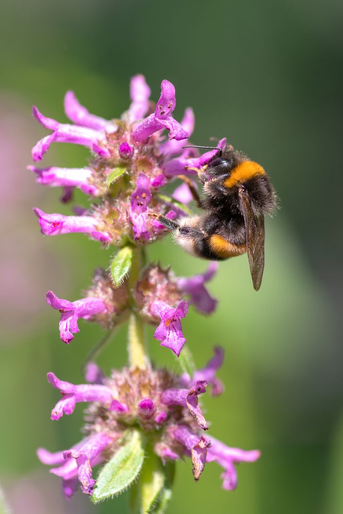 Photograph by Иванов Андрей