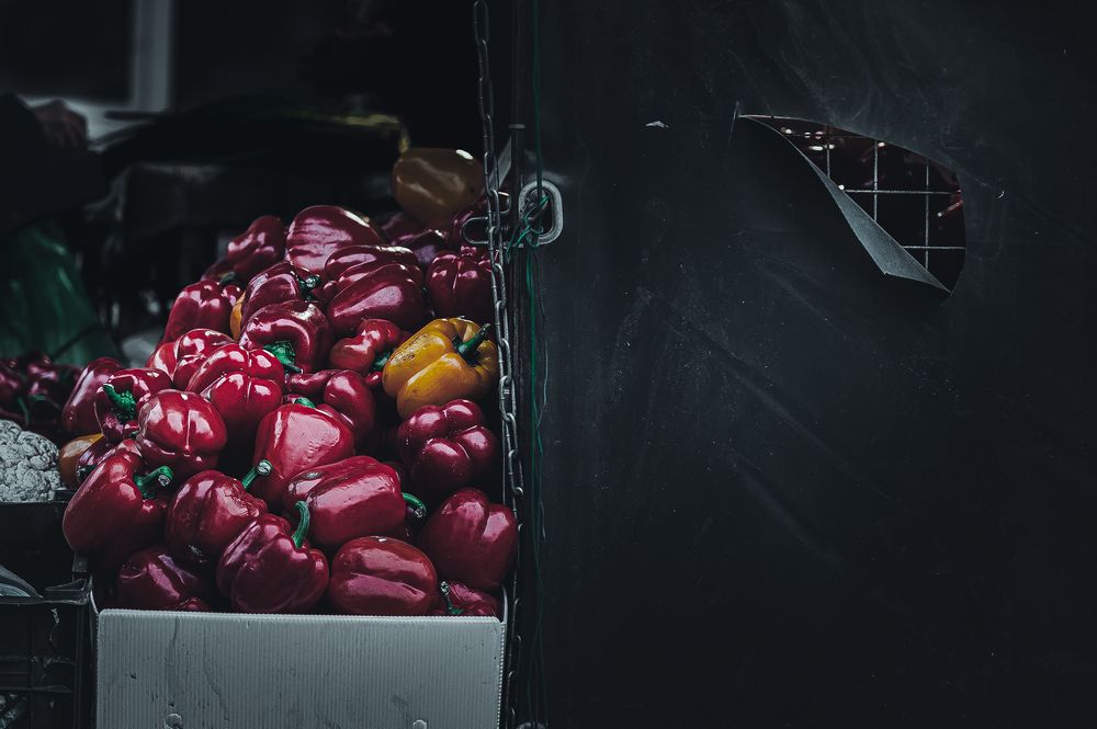 Photograph by Ilya Str