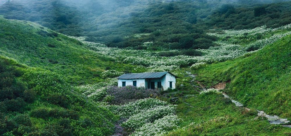Photograph by Vansh Baisoya