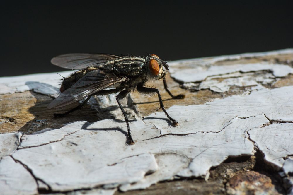 Photograph by Сергей Козлов