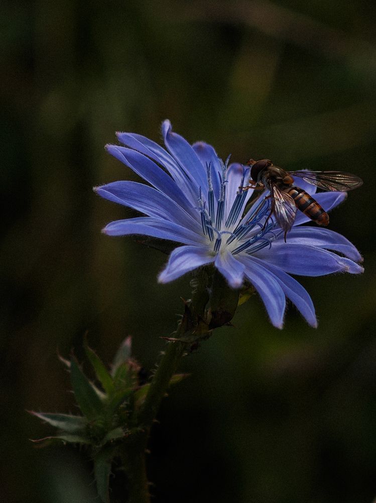 Фотография автора Наталья Данилова