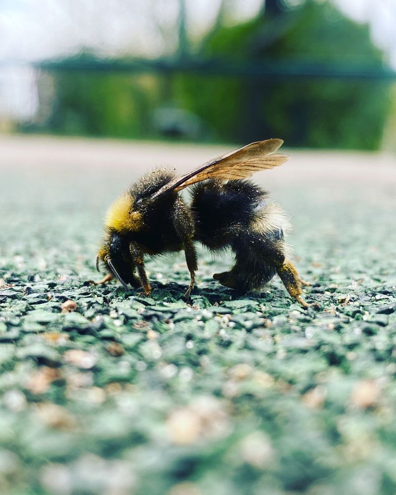 Photograph by Юрий