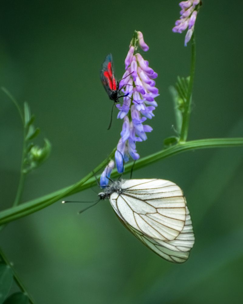 Photograph by Николай Головко