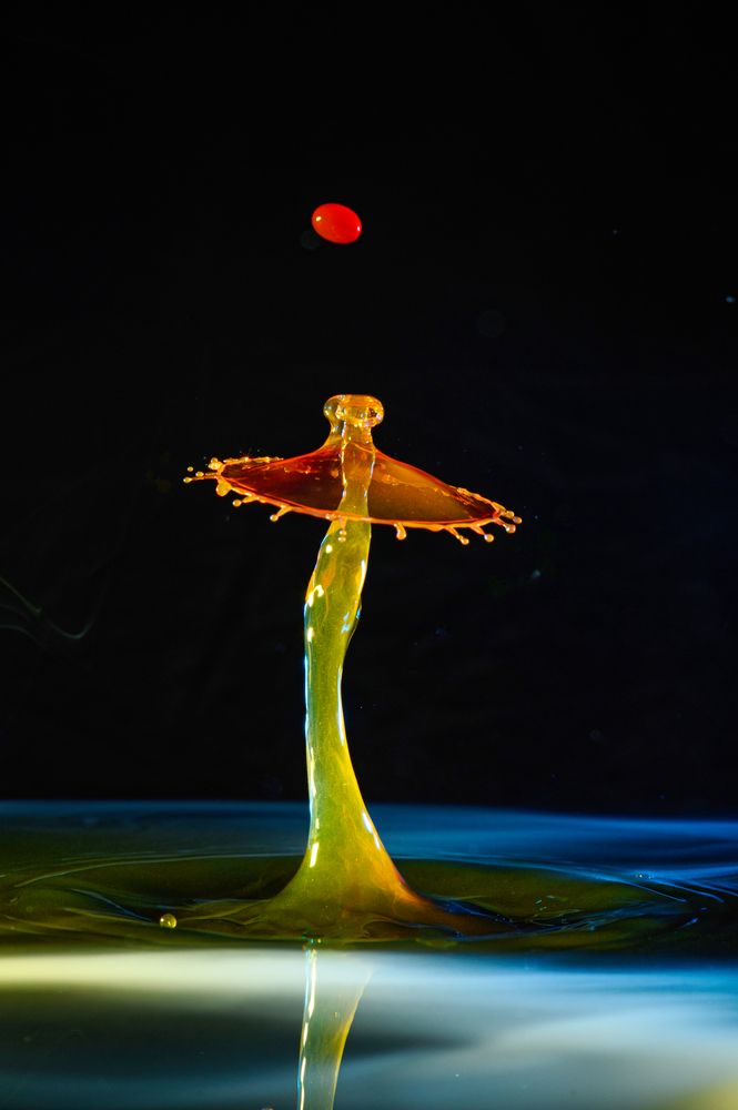 Photograph by Konstantin Zotkin