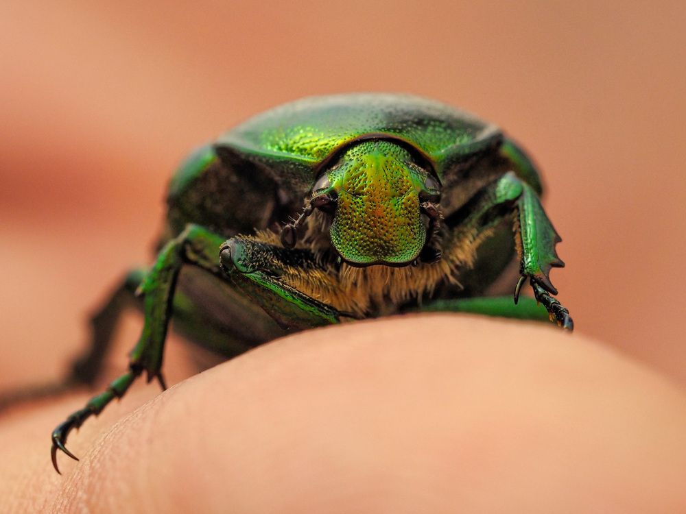 Photograph by Лейла Прощина