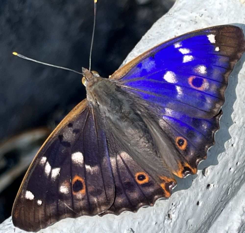 Photograph by Юлия Богославская