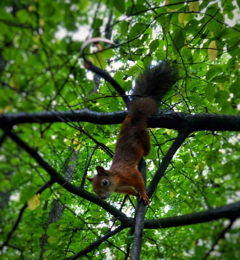 Photo #12073124