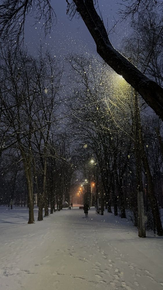 Photograph by Марина Николаева