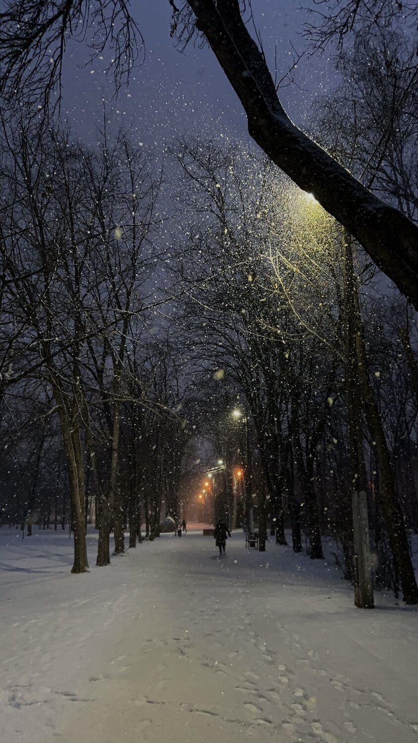 Photo #12073193