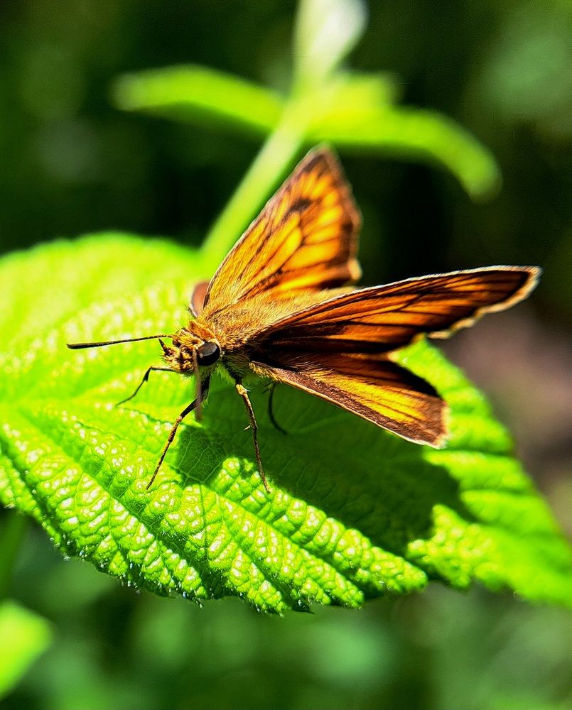 Photograph by Любовь Войтишина