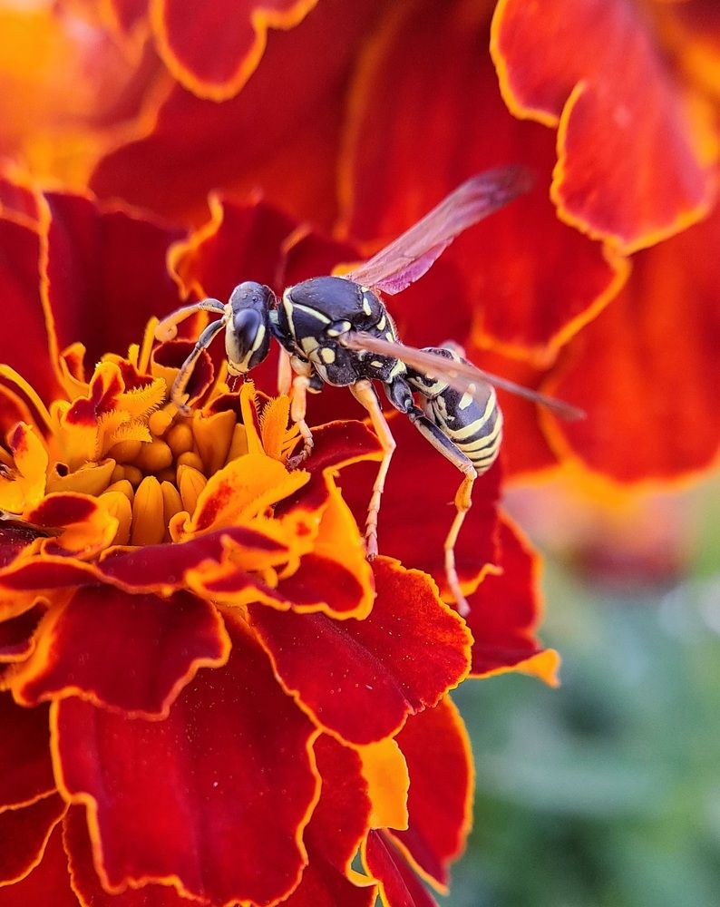 Photograph by Любовь Войтишина