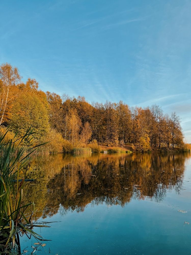 Photograph by Анна Любимова