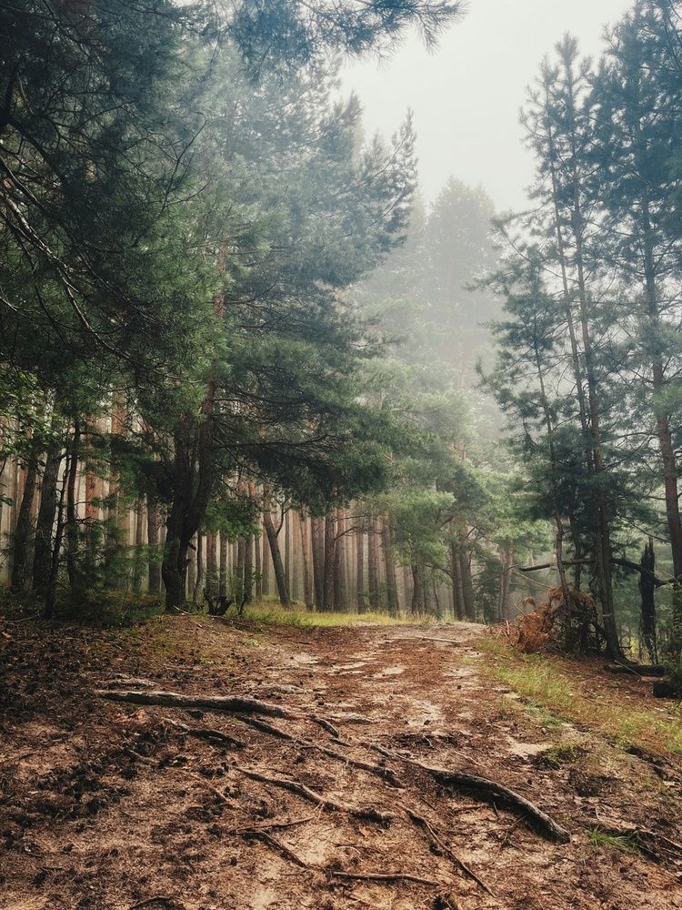 Photograph by Анна Любимова