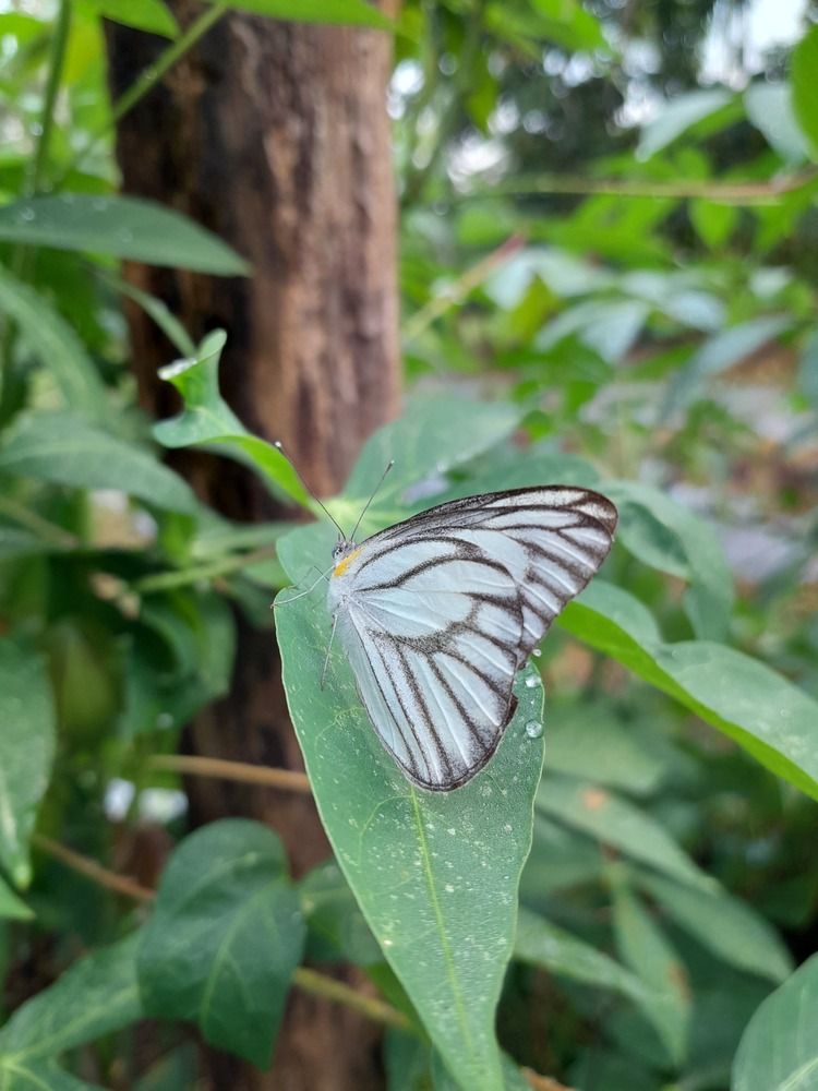 Фотография автора Zulfa