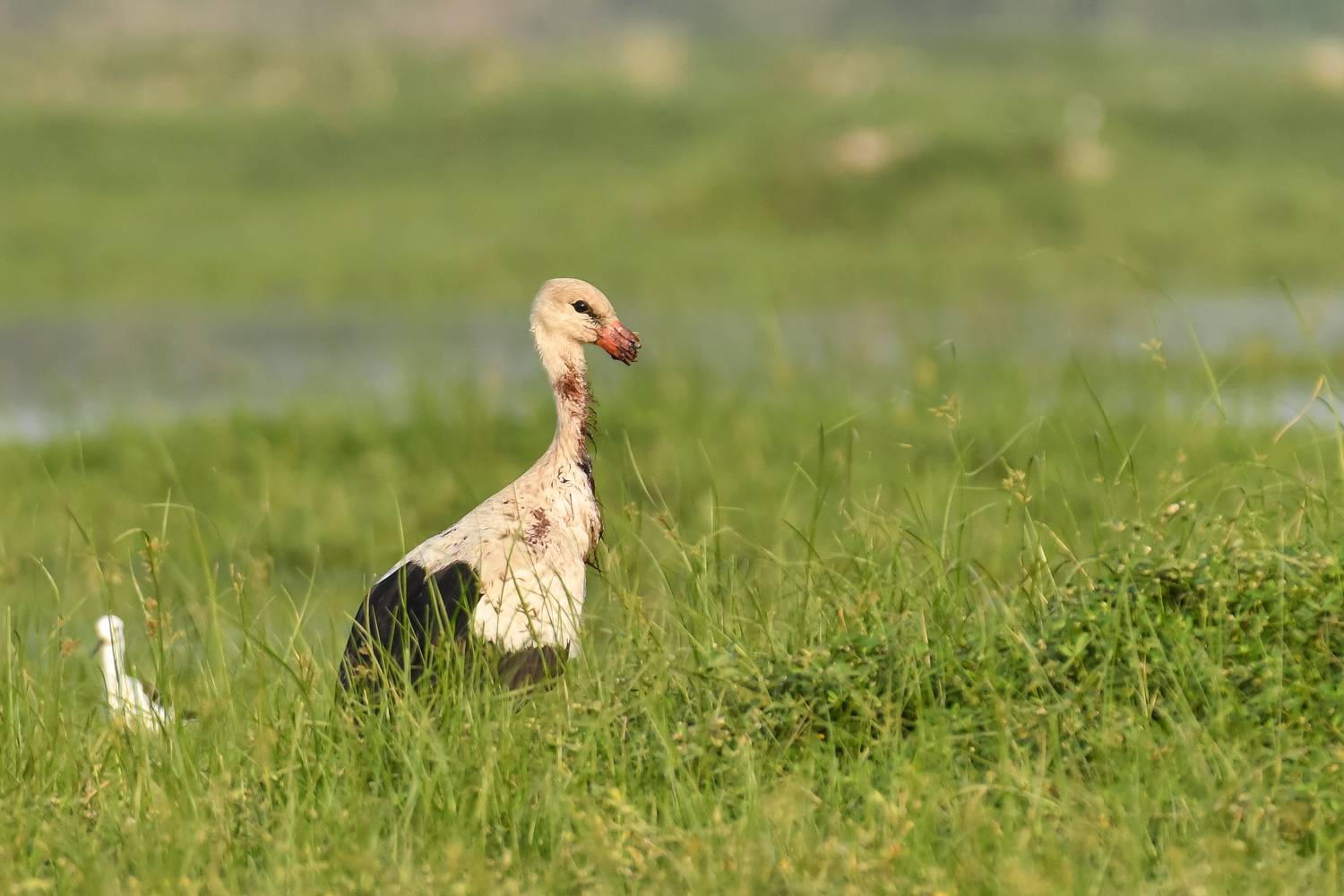 Фотография #12073401