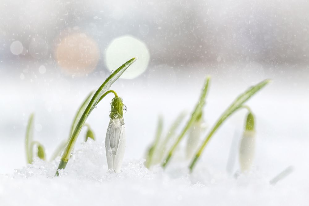 Photograph by Kveta Novotna