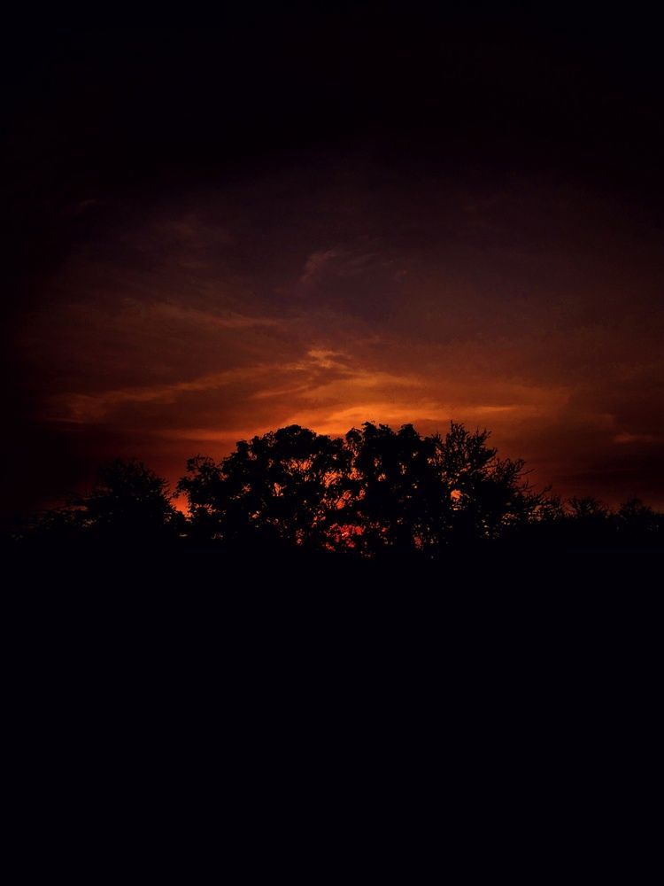 Photo #12073480
