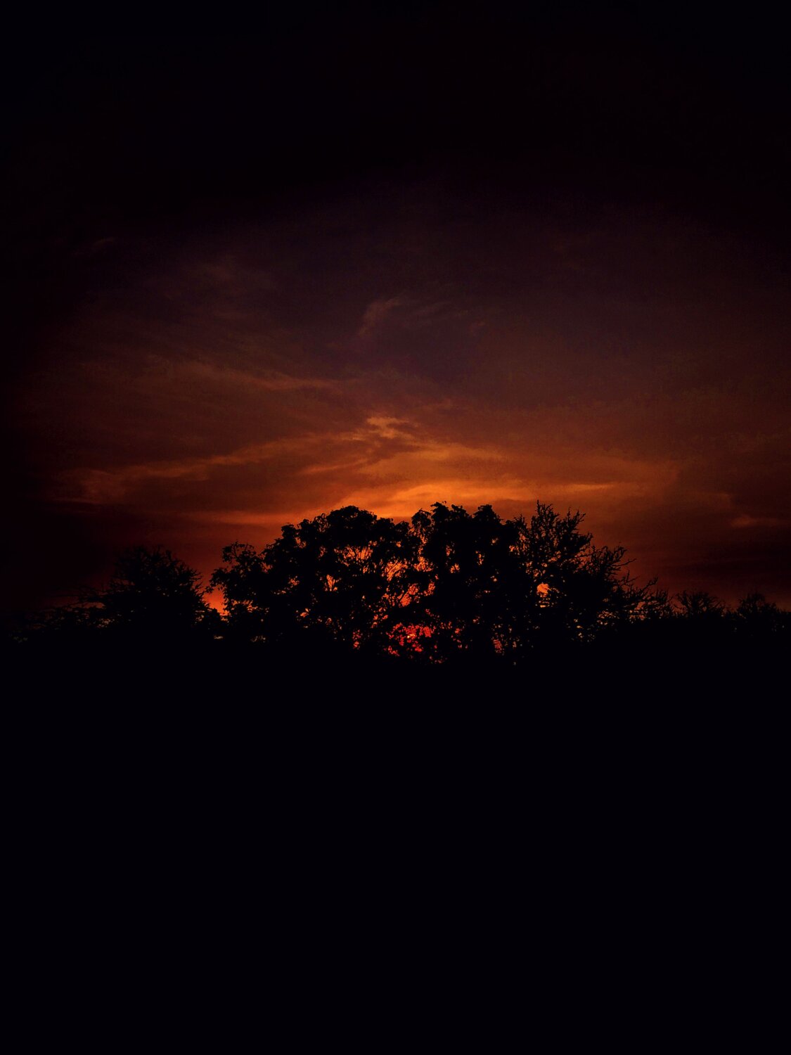 Photo #12073480