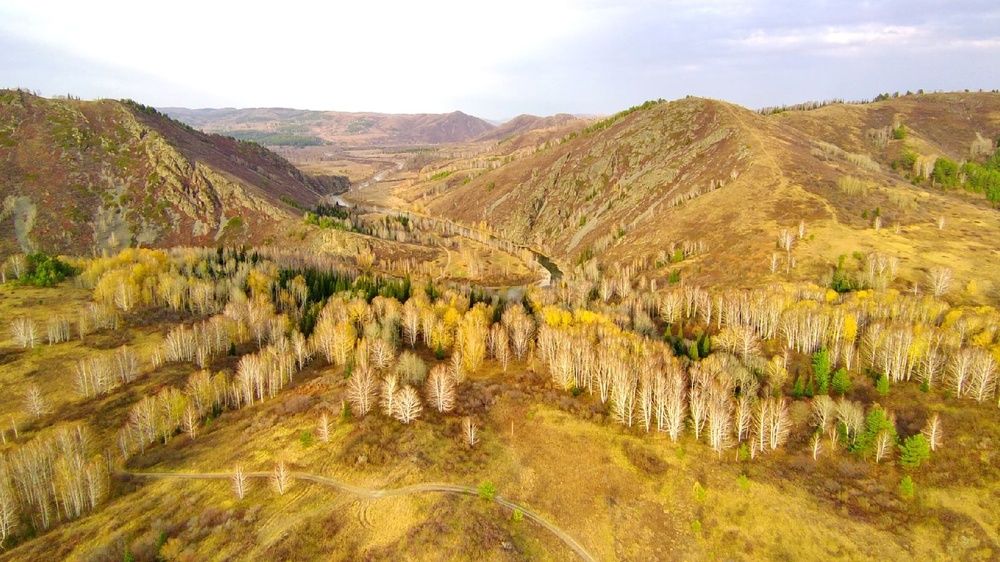 Photograph by Валерий Лунев
