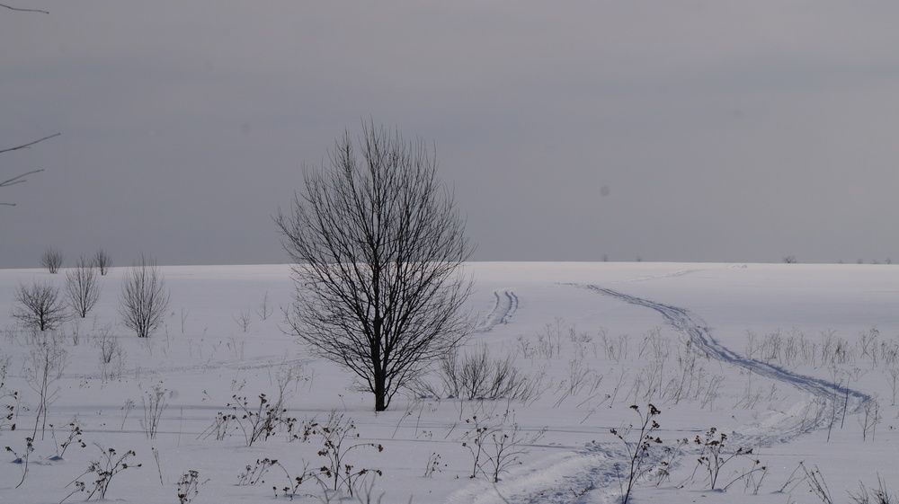 Photograph by Михаил Щукин
