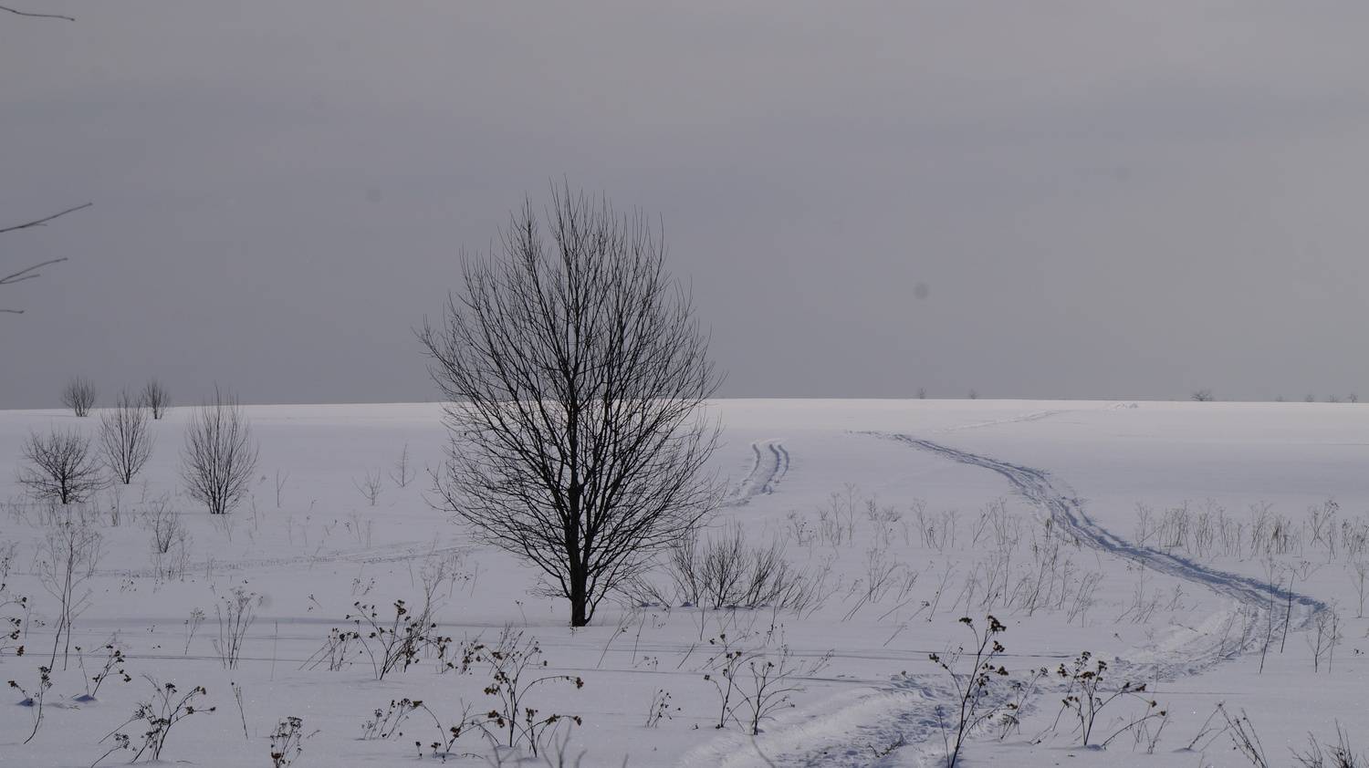 Photo #12073502