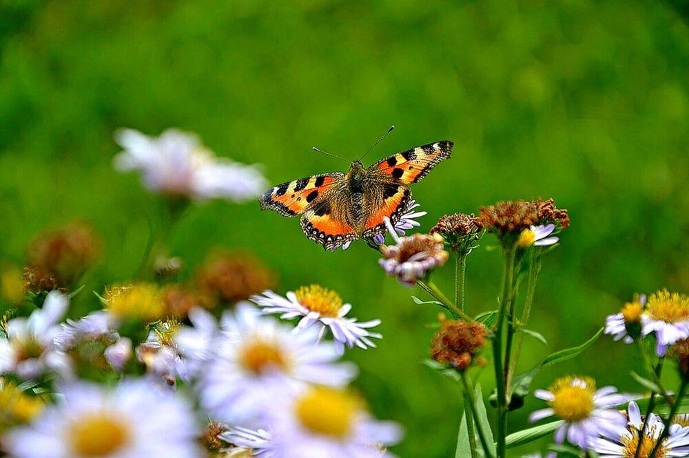 Photograph by Михаил Столяров