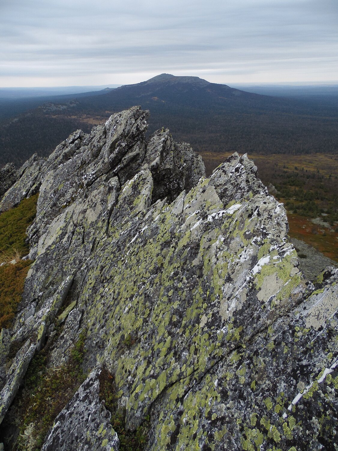 Photo #12073507