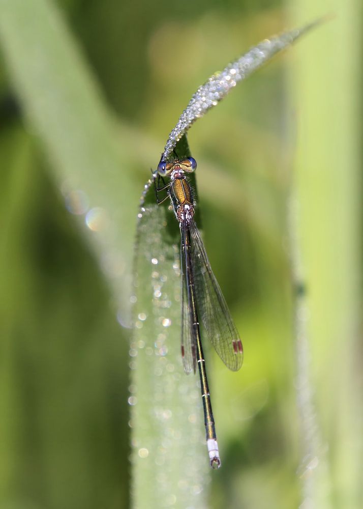Photograph by Marcin Parzybut