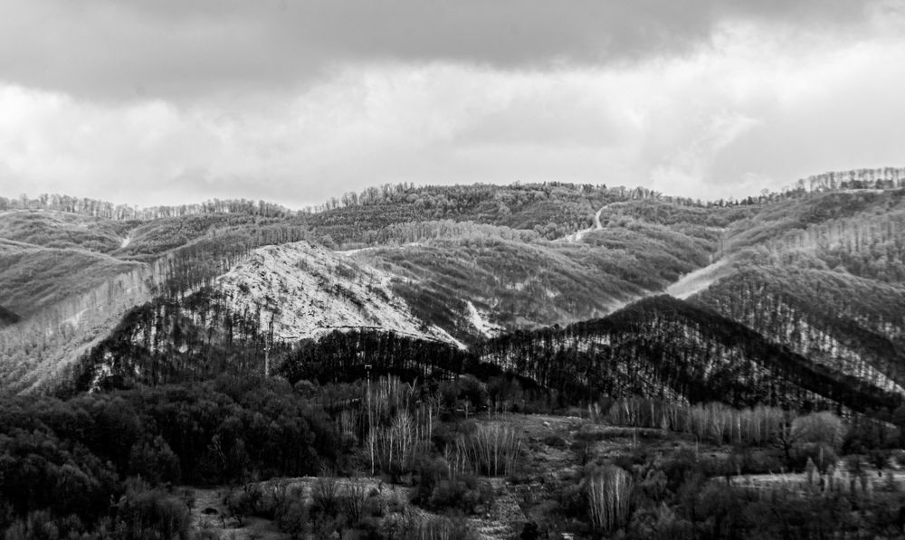 Photograph by Alexandru Mânje