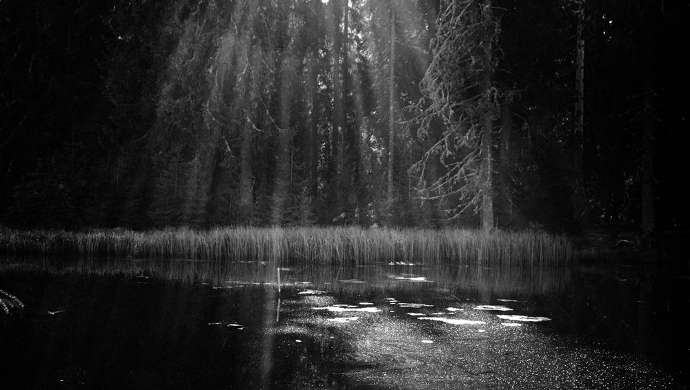 Photograph by Alexandru Mânje