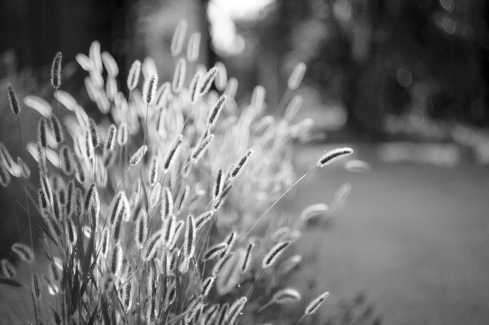 Photograph by Виталий Воронин