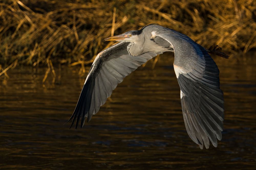 Photograph by Lance Chennault