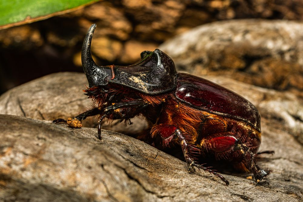 Photograph by Alberto