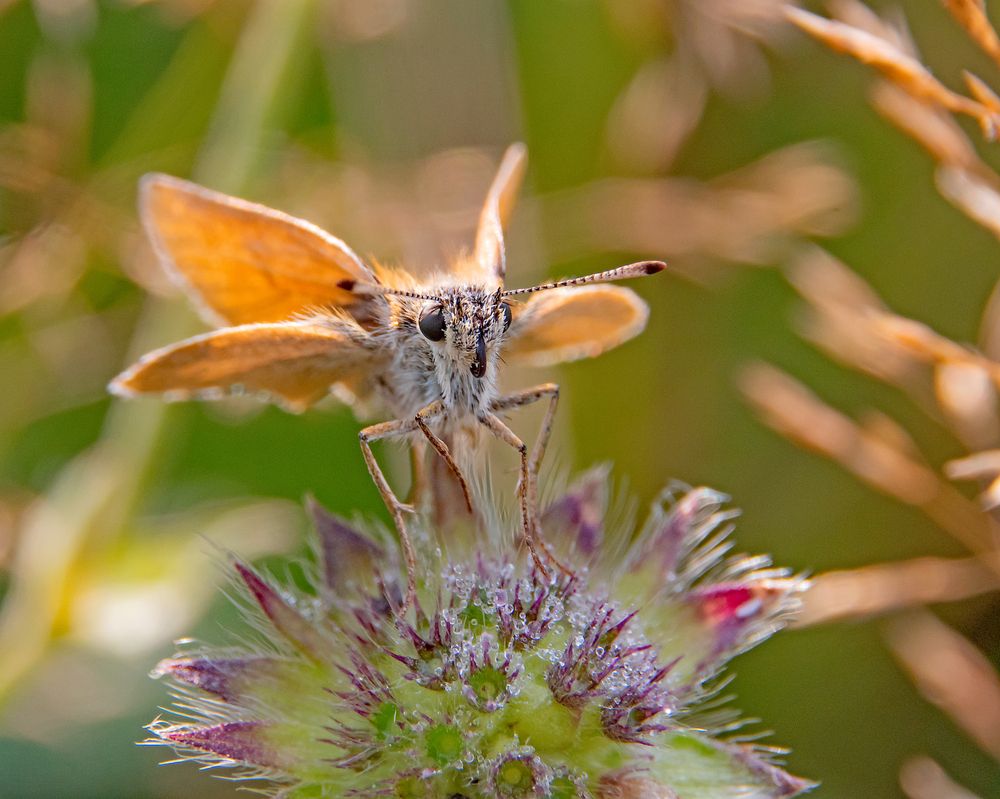 Photograph by Александр Козин