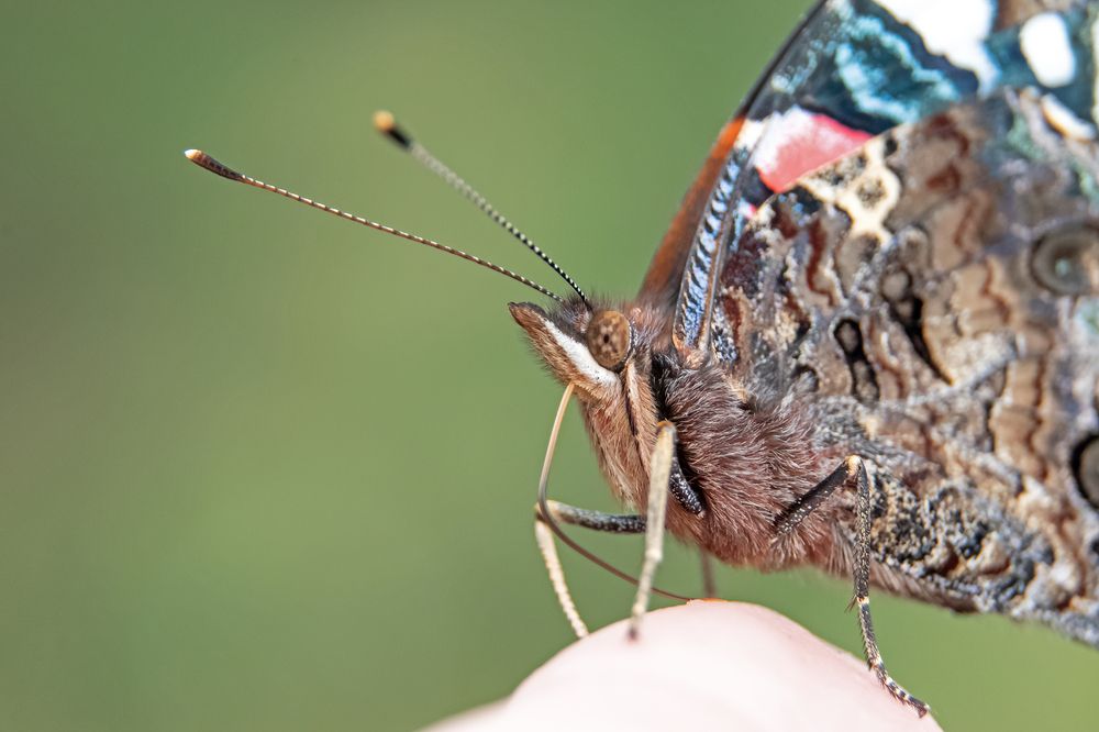 Photograph by Александр Козин