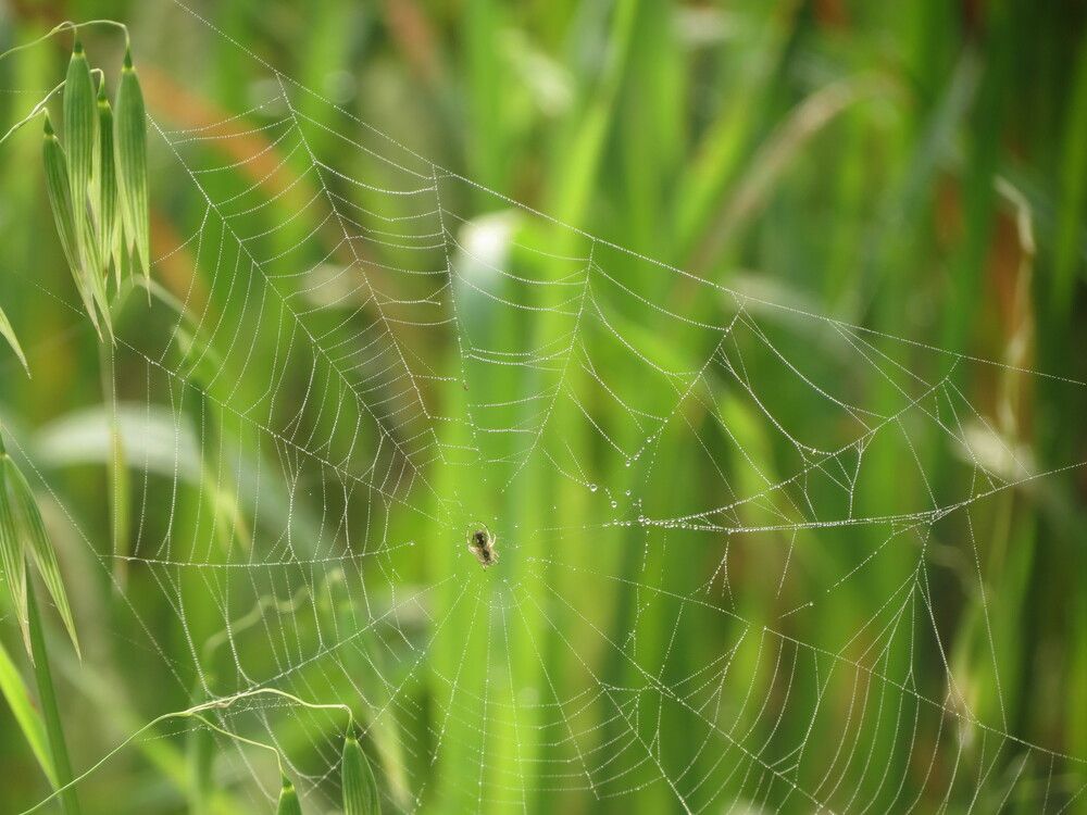 Photograph by Ashis Pramanik